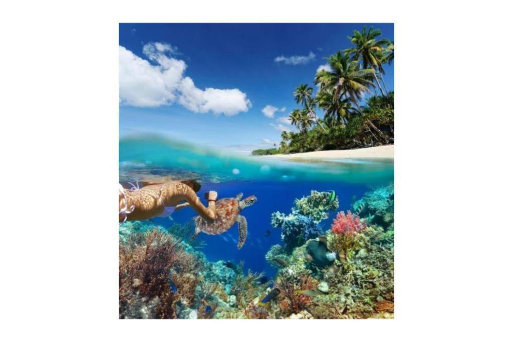 Bleu Verde, The Secret Garden - Turtle Point Beach Gili Trawangan Luaran gambar