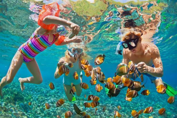 Bleu Verde, The Secret Garden - Turtle Point Beach Gili Trawangan Luaran gambar