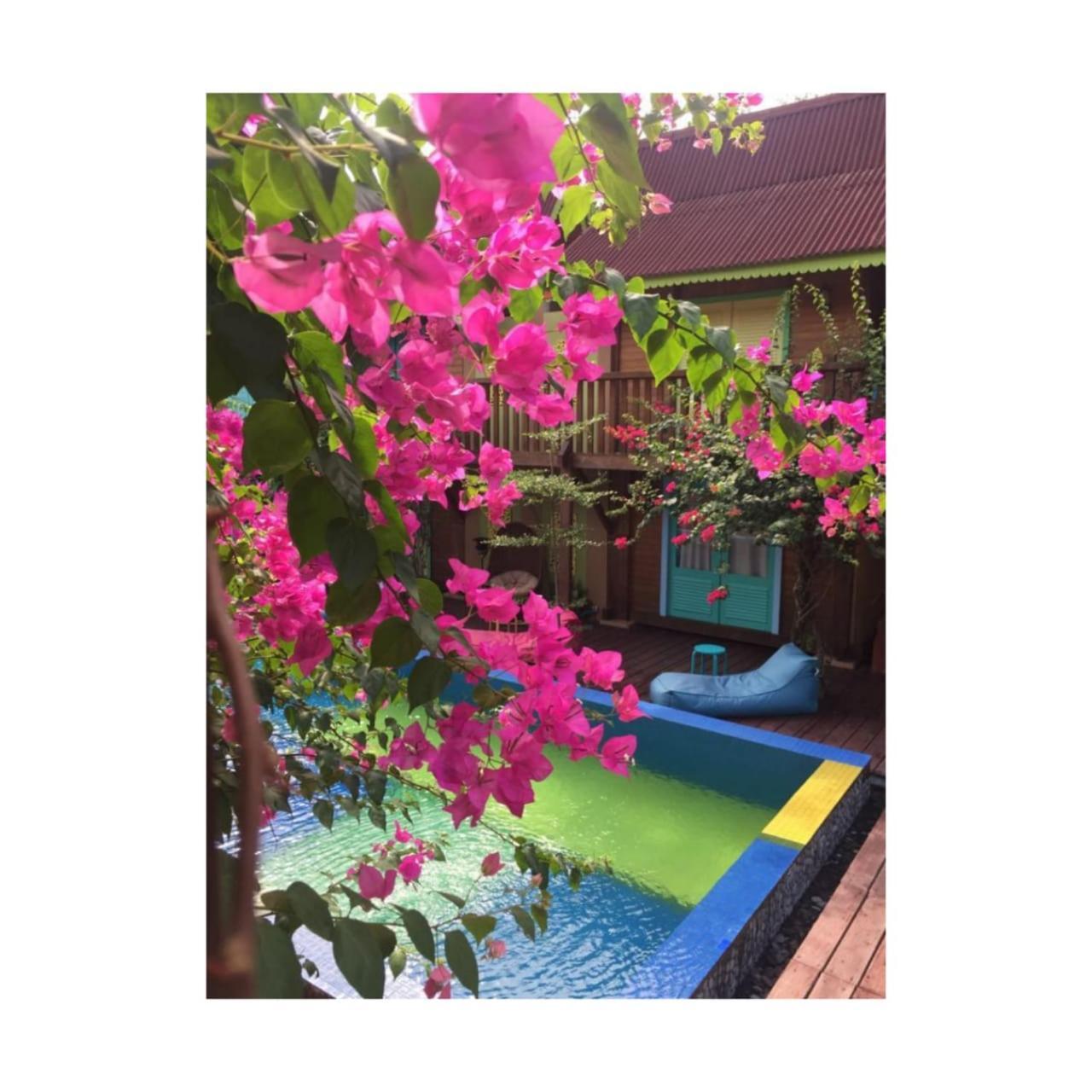 Bleu Verde, The Secret Garden - Turtle Point Beach Gili Trawangan Bilik gambar